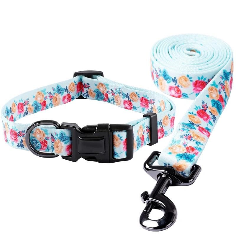 Premium OEM Pet Product Detachable Buckle Neoprene Padded Soft Dog Collar