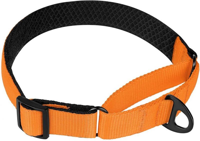 Nylon Martingale Dog Collar Soft Padded Durable Training Pet Collars