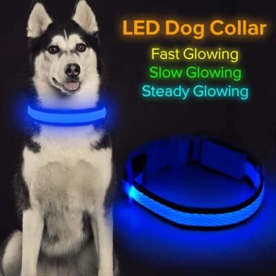 Durable LED Collar High Quality Safety Dog Collar