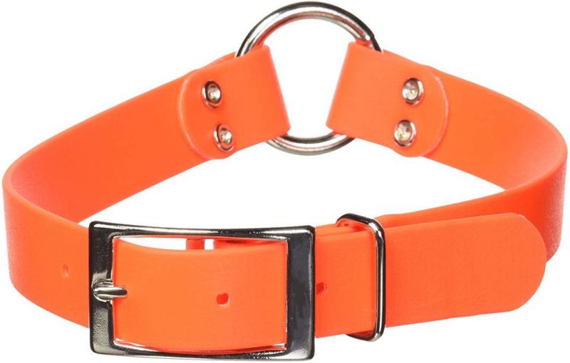 Orange 1-Inch by 22-Inch Waterproof Dog Collar