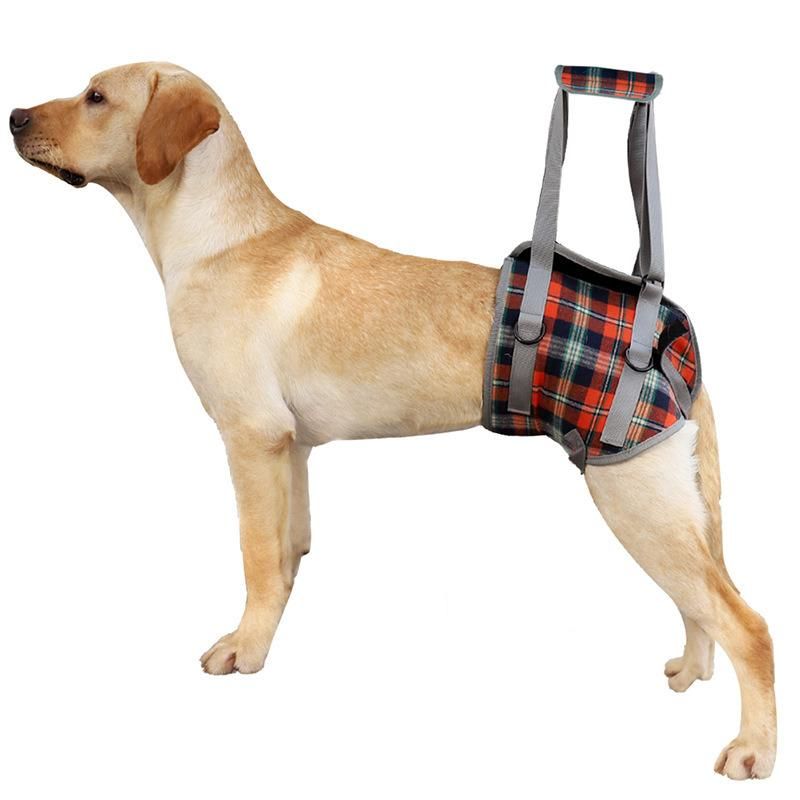 Pet Leg Hind Leg Auxiliary Belt Dog Postoperative Rehabilitation Belt Old Dog Auxiliary Walking Harness Leg Protector Pet Product