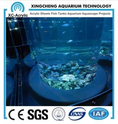 Customized Acrylic Aquarium Oceanarium in Russia