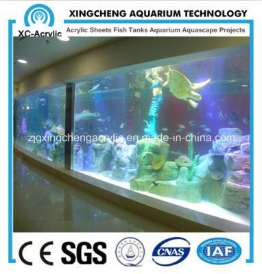 Large Wall Aquarium