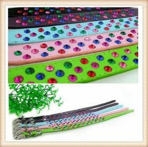 DIY Colorful Pet Dog Collars/for Shining Dog/Cat (KC0046)