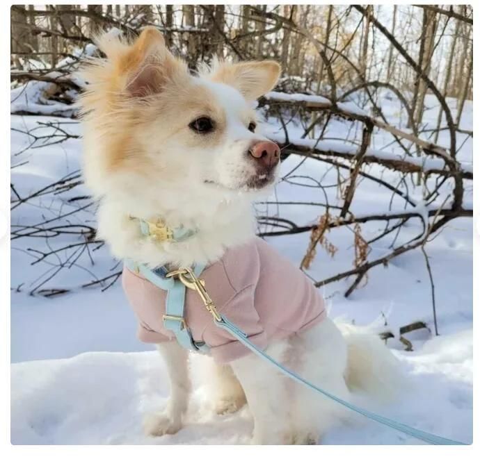 Luxury Faux Leather Dog Collar Leash Harness with Small MOQ