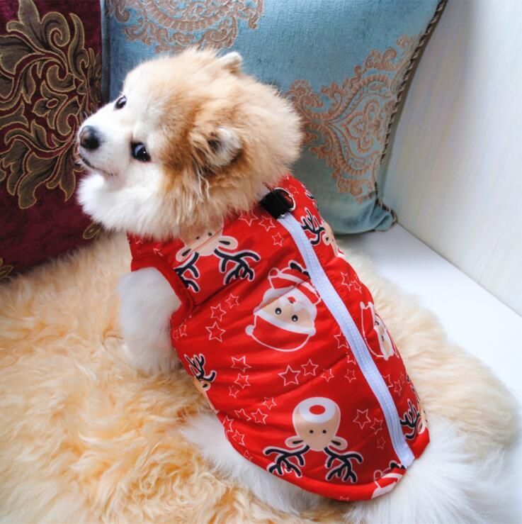 Winter Coat for Christmas with Multiple Designs with Fast Delivery