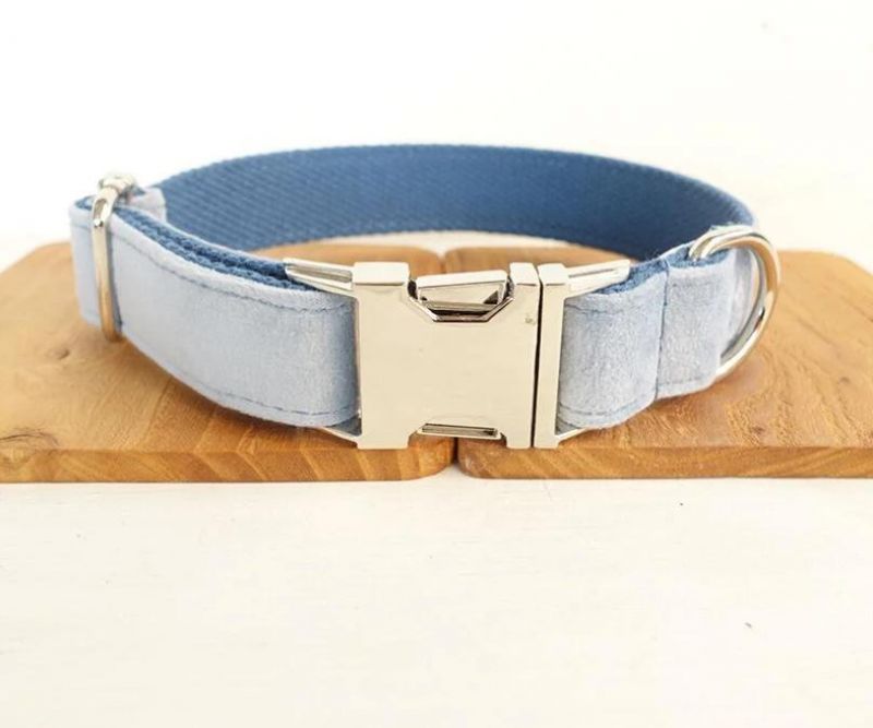 Light Blue Velvet Dog Collar with Matching Leash