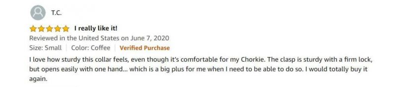Durable Metal Buckle Adjustable Nylon Dog Collar for Small Dogs