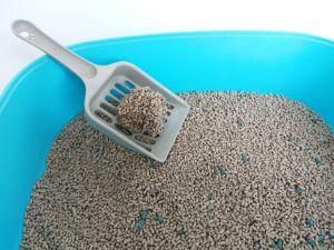 Strong Clumping Wood Bentonite Cat Litter