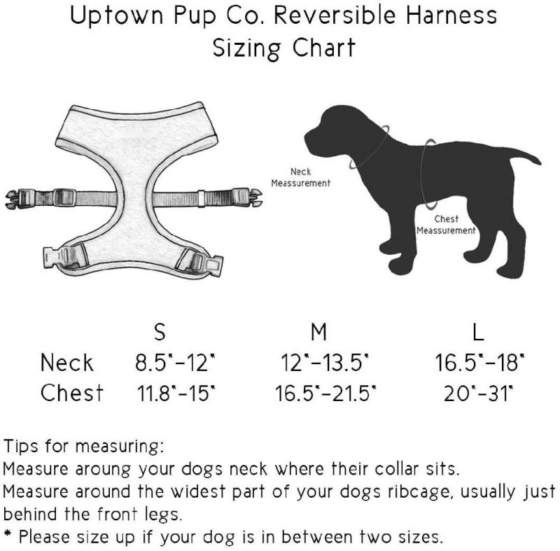Reversible Harness with Interchangeable Printed Sides. Neoprene on One Side and Mesh on The Other. for X-Small to Medium Dogs