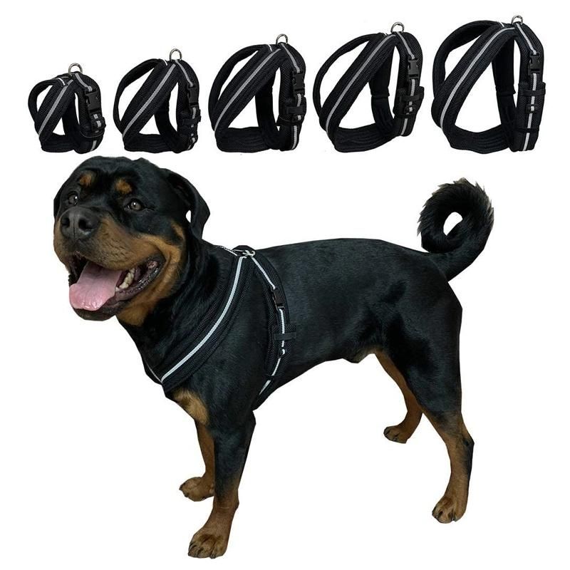 Adjustable Padded Mesh Dog Harness, Easy and Convenient Dog Safety Harness for Small Medium Large Dogs