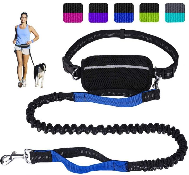 Dual-Handle Reflective Bungee Handsfree Leash