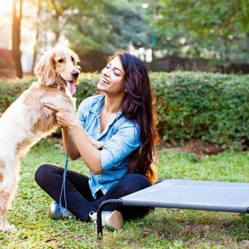 Hot Selling Elevated Cooling Dog Cot