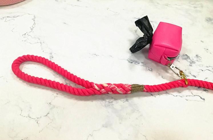 Hunting Dog Collar Leash with Waste Bag Dog Poop Holder