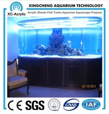 Curved Acrylic Fish Tank
