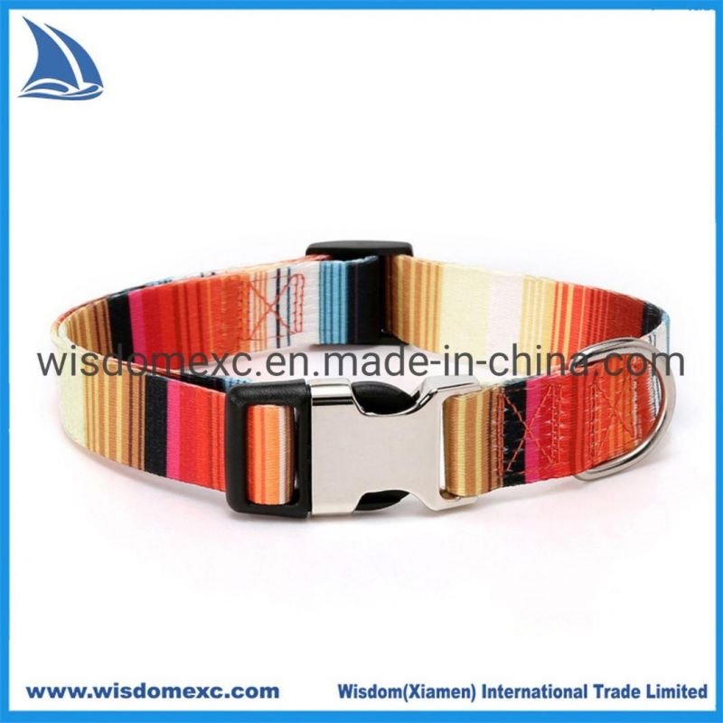 Extreme Personalized 1" Nylon Webbing Dog Collar Snap Leash