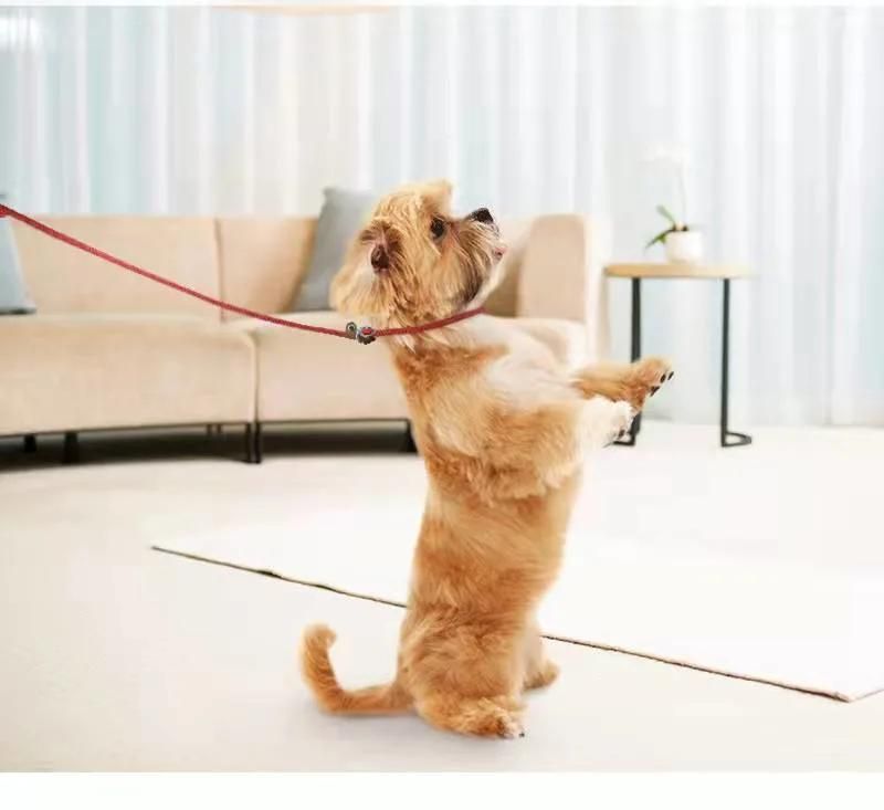 Elastic Nylon Dog Leash for Small and Medium-Sized and Large Dogs