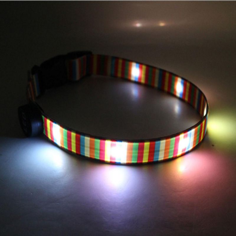 USB Charging Rainbow LED Light Dog Collar