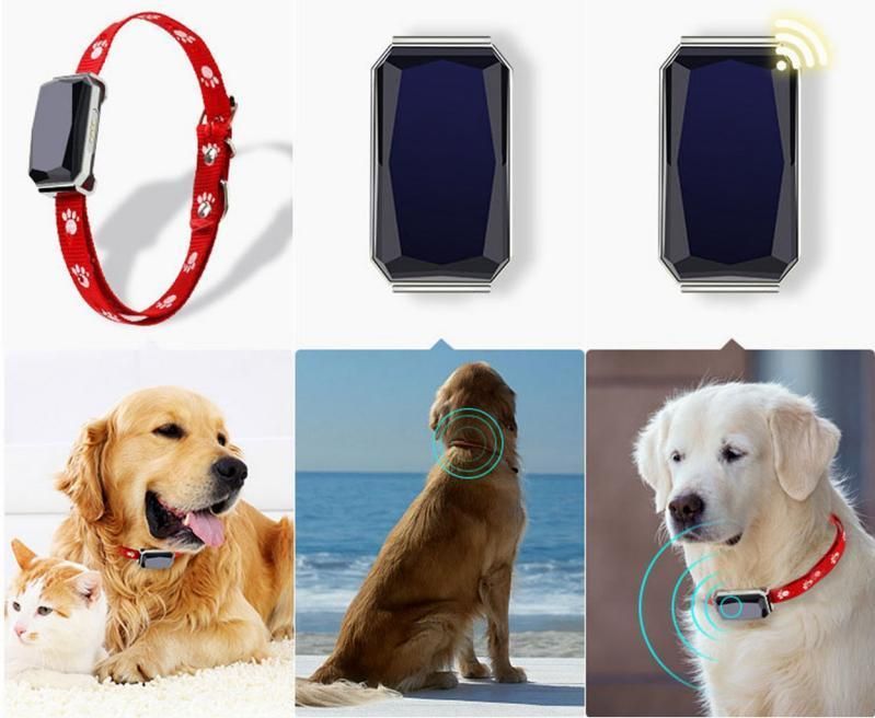 Pet Collar Tracker for GPS Locating Dogs