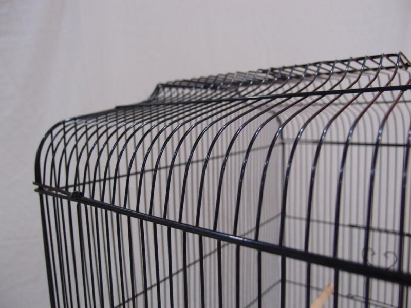 Super Big Tall Metal Folding Removable Birds Parrot Breeding Cages Travel Pet Carrier Birdcage