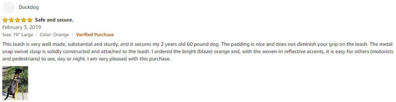 Strong Durable Nylon Small Animals Training Leash, Best Dog Supplies
