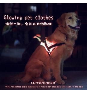 USB Charge Pet Fashion Cloth Shining LED Dog Cloth